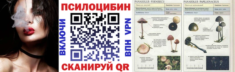 цена наркотик  shop Telegram  Псилоцибиновые грибы Psilocybe  Бирск 